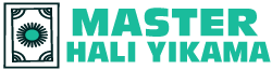 İstanbul Master Halı Koltuk Yıkama  Logo